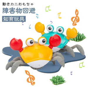 Ⴑǂmߋ{bgJjd铮JjZT[QybgǂLEDCgƉytLNX}Xav[gc