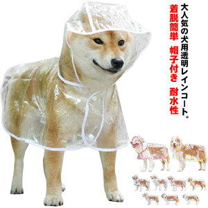 pCR[gEȒP^^C|`|`^ybgCR[ghbOEFAJCEFAt[htXqtϐ^ybg~JJ΍