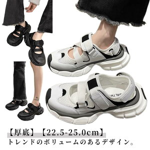 Xj[J[T_fB[XăT_T_Xj[J[xNCX|[cT_ʋCyʃbVJWACV[YL₷rʋΒʊwsg