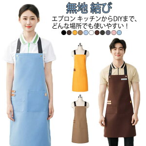 GvfB[XY[NGvJtFGvƗpwZ傫TCYԂ邾ԂIVVvlnт킢hLpX