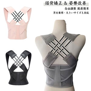 LwxgLwxgjpT|[^[LwqeɂȂpxgCi[ڗȂ傫TCY胁YpPw؃T|[^[LwT|[^[