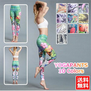 KMXfB[XꃈKpcMXKEFAK^CcrMXEGAX|[cEFAX|[cpcpcg[jOpcv~AnnCEGX