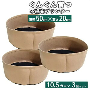 sDz|bg3x[WsDzv^[Aؔyzv^[ƒ؉x_^sDztFg