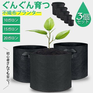 sDz|bg10K15E20KsDzv^[3ZbgAؔ^yʐ[tFgzƒ؉ʋC