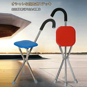 s⏕XebL`FAXebL`FA܂肽݃CX֎q֎qɂȂOryʏvpips֘Asjp̓̓chV̓Uނ