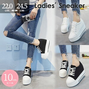 fB[XV[YCq[L[XAbvXj[J[\[r킢JWA₷q[10cm22.0/22.5/23.0/23.5/24.0/24.5ubNzCgd3l6/s