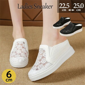 Xj[J[Xb|fB[Xq[6Z`bVʋCubNzCg[Jbgƃt[Cq[傫TCY₷CJWARtH[g