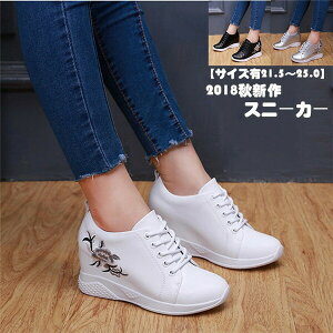 Xj[J[fB[XCq[ɂ₷yʔ⍕ꂢߎhJ؍傫TCYTCY킢V[YʋCCMXJWArʔQ