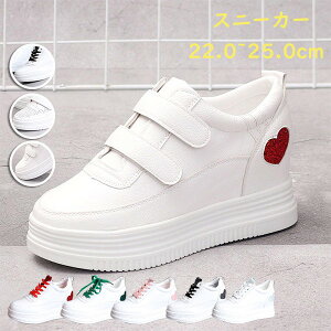 3typeXj[J[fB[Xq[8ꔒCʋC؍C\[gAbv[XAbvxNgfBJWAwʋΒʊw22.022.523.023.524.024.525.0