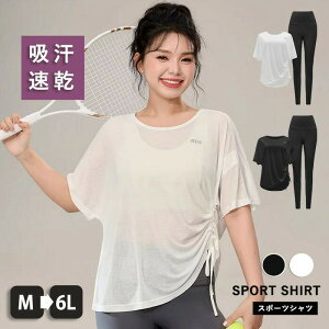 KVcfB[XtVcjOVA[gbvXʋCQzEH[LOWKEFAX|[cEFAd˒znVve͑傫TCY