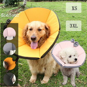 GUxXJ[pLp\tg炩yʏp_炩wXPAیݏrߖh~ޖh~畆aDpEFAK蒲\ی~h~ӂӂO[CG