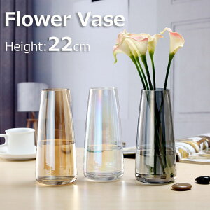 _KXԕrkACCYhNX^NAKXԕr֑}z[ItBX̑t[x[X22cmVviԊ퐶ԃrOQpCeAG݌