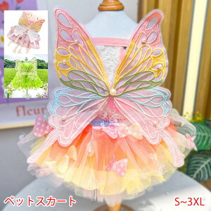 Pls[XLXJ[gtЂߕL^^̕ybg[X`[jȂtĕhbO킢RX`[sCxgڗ