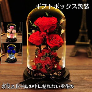 vU[uht[{gt[̓Mtgjv[gKX͂ȂԉỉԃiCgCg{g\aLO