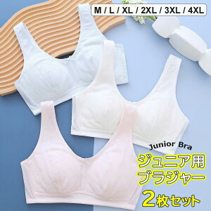 obNbVdlŒʋCQ2Zbg3FWJCi[K[YwWjA̎qmC[JbvtxXg^uW[_炩VvzK