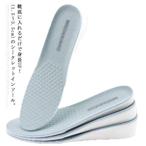 �����Ɨp 2.5cm �ʋC �C���\�[�� ���~�� �V�[�N���b�g �g���A�b�v �Ռ��z�� �������� ���~�� �������� �h�L 1.5cm �I�ׂ鍂�� 2���Z�b�g �ᔽ�� 3.5cm �����Y ���f�B�[�X �����\ 22.5cm�`27.0cm �Ή�