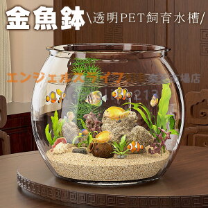 水槽 メダカ飼育容器 テラリウム」の人気商品一覧・価格比較 - 価格.com