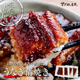 海鮮 ギフト ウナギ 鰻 蒲焼 セット うなぎ蒲焼き 送料無料 うなぎの蒲焼 うなぎ 鰻蒲焼 食品 贈り物 母の日 父の日 お中元 海鮮 記念日 お祝い 誕生日 プレゼント おすすめ食品 gd260