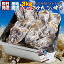 牡蠣 殻付き カンカン焼き セット 広島県産 冷凍 カキ 約3kg 約26個前後 （片手用軍手・ナイフ・調理説明書付き） 貝…