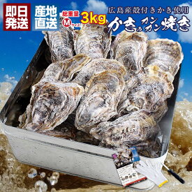 牡蠣 殻付き カンカン焼き セット 広島県産 冷凍 カキ 総重量3kg Mサイズ 約27個前後 4～5人前 （片手用軍手・ナイフ・調理説明書付き） 貝類 海鮮 バーベキュー 食材 おつまみ ガンガン焼き キャンプ BBQ gd131