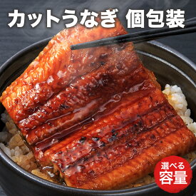 うなぎ 100g 小分け 選べる容量 ウナギ 土曜の丑の日 うなぎ蒲焼き 蒲焼 温めるだけ ご飯のお供 冷凍保存 真空パック うな丼 冷凍 お中元 ギフト 送料無料 業務用 家庭用 お得セット おためし お試し個包装 焼津から発送 [うなぎ真空100g(100g×1パック)]