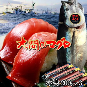 }O  Ԑg 600gi200g×3TNjhg XԎY Ԃ̂܂ VR {}O Yn̒ `mH̖o ӂ邳ƃMtgn