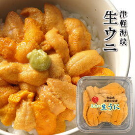 うに 塩水パック 漁師の生うに 70g［新物］塩水漬け 極み 生ウニ 青森県産 津軽海峡 今が旬 新鮮 キタムラサキウニ［産直海鮮ギフト］