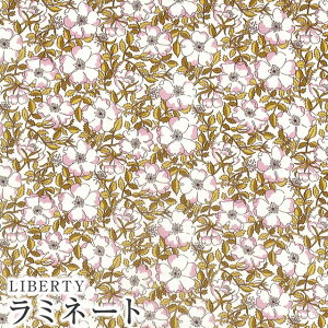 LIBERTYoeBvgEY~l[g(rj[R[eBOn)y2019AWzMay Morris(CX)MATLAMI1229214-P19C