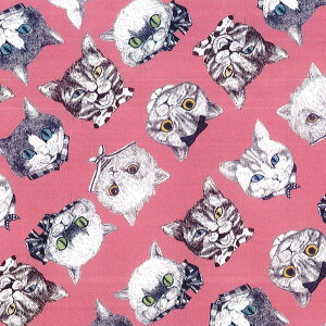 RingoS@IbNXnNEKOS(lRY)CP LfBsNyRINF-02CPz