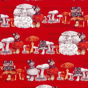 RingoS@IbNXnMushroom Cat(}bV[Lbg)TRgfBVibhyRINF-06TRz