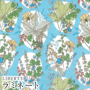 s[^[rbg×oeBt@ubNX LIBERTYoeBvgEY~l[g(rj[R[eBOn)Hawthorn Bunnies(z[\[Eoj[Y)yCgu[zMATLAMI-DC307