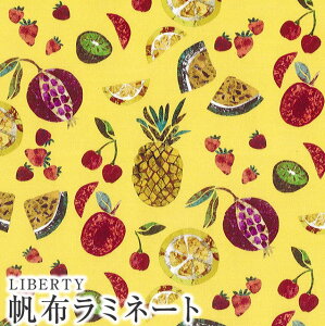 LIBERTYoeBvg Y11z~l[g(rj[R[eBOn)Pietra Dura(sGgf)yCG[zCANLAMI3631215-J22DC