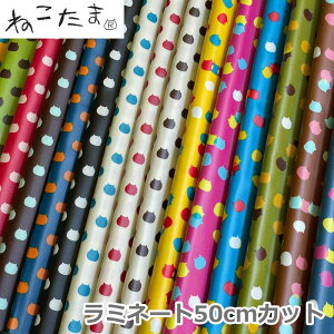 y50cmJbgNXz˂܁w~l[gxn 107cm×50cmJbgNXyIbNX~l[g/hbg//L/lRz{ NTLC