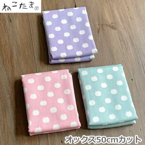 y50cmJbgNXz˂܁wIbNXxn 110cm×50cmJbgNXyhbg//L/lRz{ }XNɂ NTSC-1