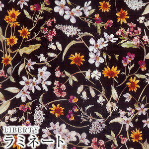 LIBERTYリバティプリント 国産つや消しラミネート(ビニールコーティング生地)【エターナル】<Primavera>(プリマベーラ)【ブラック】MATLAMI3639216S-ZE