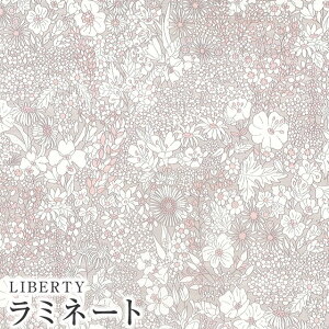 LIBERTYoeBvg Y~l[g(rj[R[eBOn)yG^[izPatrick Gordon(pgbNS[h)yCgO[zMATLAMI3801160VE