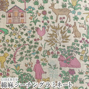 LIBERTYoeBvg YȖV[`O~l[gnSymbols(V{Y)ysN×O[z(rj[R[eBOn)CLLAMI-DC32256L-J22MsV[n70NLO Merci's 