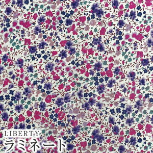 LIBERTYリバティプリント 国産つや消しラミネート(ビニールコーティング生地)【エターナル】<Phoebe>(フィービー)MATLAMI3632090SE