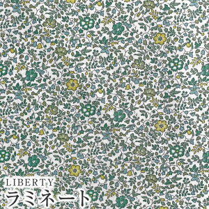 LIBERTYリバティプリント 国産つや消しラミネート(ビニールコーティング生地)【エターナル】<Katie and Millie>(ケイティアンドミリー)MATLAMI3633177LFE