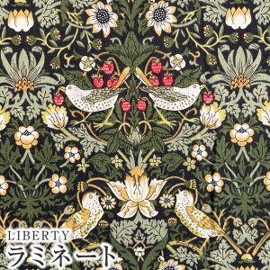 LIBERTYリバティプリント 国産つや消しラミネート(ビニールコーティング生地)【エターナル】<StrawberryThief>(ストロベリーシーフ)MATLAMI3635061NE