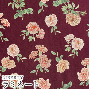 LIBERTYoeBvg C^A~l[g(rj[R[eBOn)Scented(Zebh)yCbhnzMATLAMI363J6803-Cs2022AW FLORANATIONt