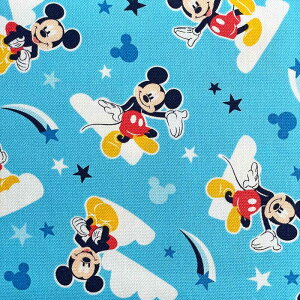 ~bL[}EX IbNXnt@ubN(fBYj[ LN^[ wʉʊw bXobO V[YobO )GR1110-1A