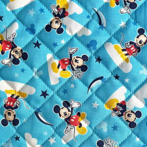 LeBO ~bL[}EXyu[zIbNXLgnt@ubN(LN^[ n wʉʊw)fBYj[ GRQ-1110-1A