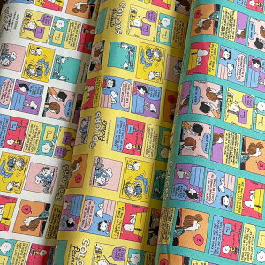 Xk[s[SNOOPY pXeJ[ IbNX zCg/CG[/O[(LN^[ wʉʊw bXobO V[YobO )804268/804275/804282