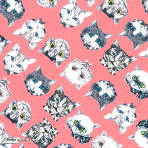 RingoS@V[`OnWonderful NEKOS(_tlRY)L[sbgsNyRINF-09CPz