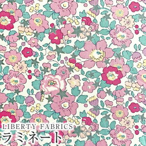 LIBERTYoeBvg Y~l[g(rj[R[eBOn)Betsy Star(xbcBX^[)yzCgn/sNԁzMATLAMI36368406-J23B