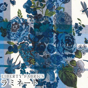 LIBERTYoeBvg Y~l[g(rj[R[eBOn)yG^[izChildhood Collage(`ChtbhER[W)ylCr[zMATLAMI-DC33555XE