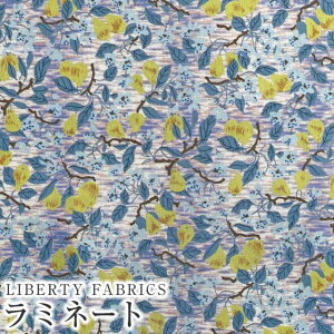 LIBERTYoeBvg Y~l[g(rj[R[eBOn)yG^[izTed and Lucilla(ebhEAhEV[)yCG[×u[zMATLAMI-DC33559XE