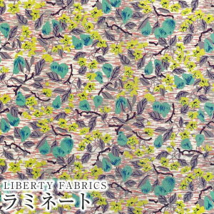 LIBERTYoeBvg Y~l[g(rj[R[eBOn)yG^[izTed and Lucilla(ebhEAhEV[)yO[×CCG[zMATLAMI-DC33559YE