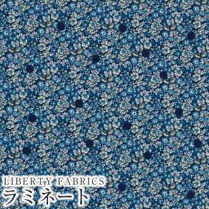 LIBERTYoeBvg Y~l[g(rj[R[eBOn)yG^[izAbasan Spot(AoTEX|bg)yu[×lCr[hbgzMATLAMI-DC33571ZE